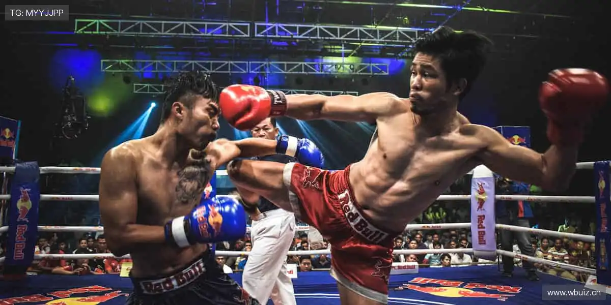 一键订阅，精彩不断！🔔🏐